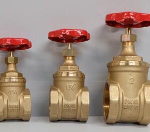 BRASS GATE VALVE